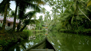 Backwater tours Munroe Island